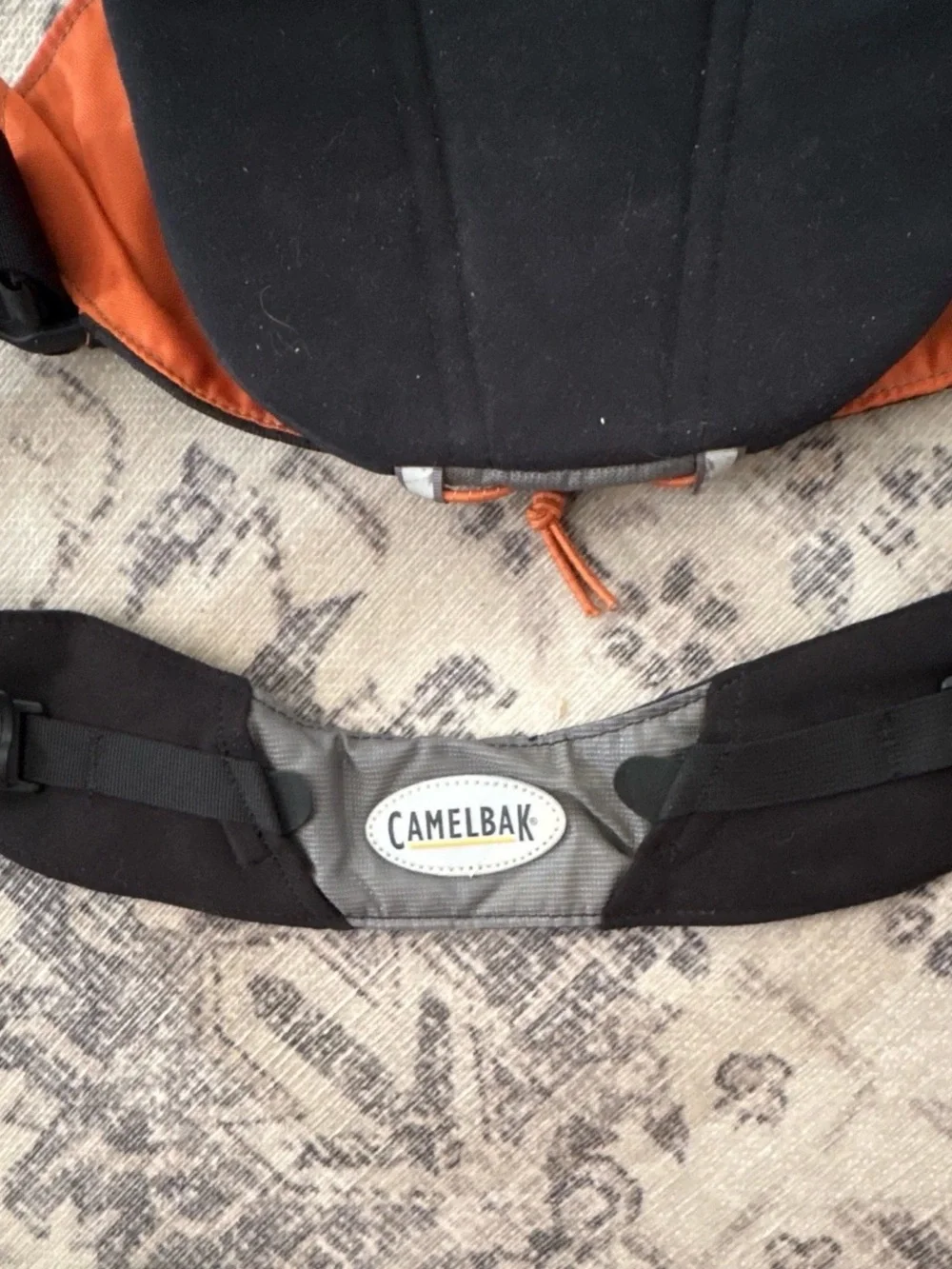 Camelbak nwt alterra